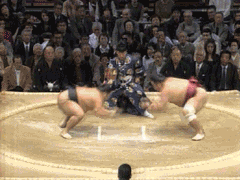 photo sumo_zpsd5aa4abf.gif