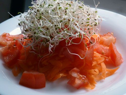 Winter-Alfalfa-Salad_zpsb915b1ba.jpg