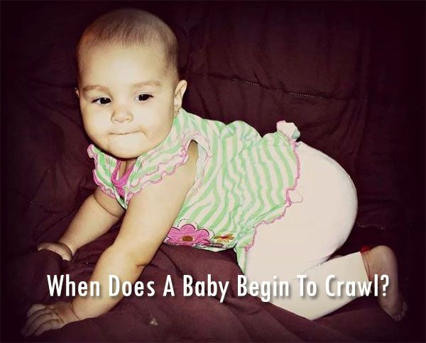 When Does A Baby Begin To Crawl?