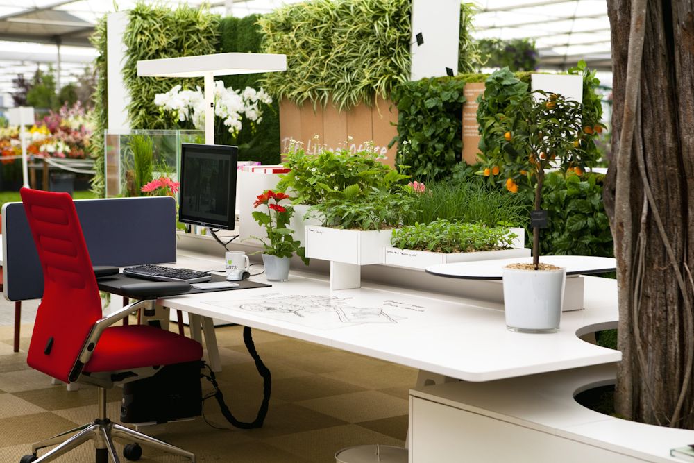 Indoor Gardening