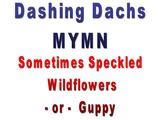 2-Day Auction { MYMN } Dashing Dachs Semi-Custom