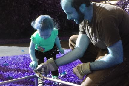 color-only invert