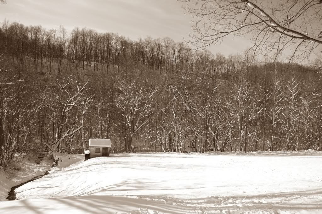 sepia_shed_small.jpg