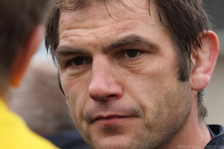 Грачи прилетели