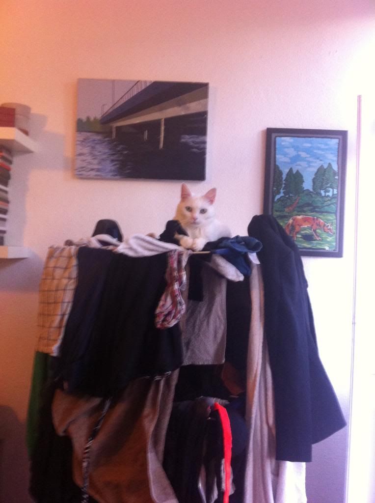 Your Pet Forum Embarrassing wardrobe malfunctions