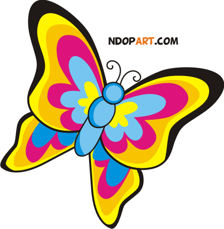 beautiful butterfly