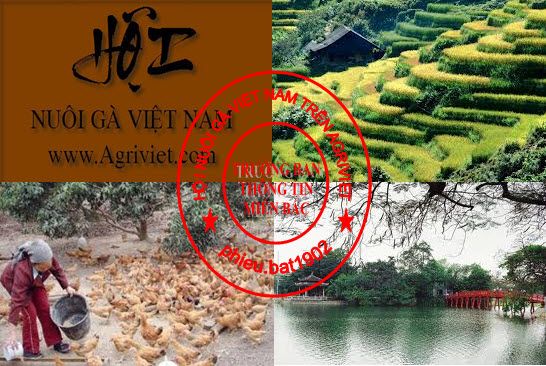 Chúc mừng Trưởng Ban Thông Tin khu vực Phía Bắc - ACE vào Chúc mừng nhé!!