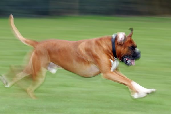 IMAGE: http://i741.photobucket.com/albums/xx55/MattBaker/Oscar/MB8Q8721.jpg