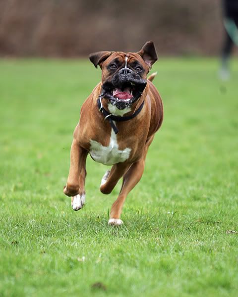 IMAGE: http://i741.photobucket.com/albums/xx55/MattBaker/Oscar/MB8Q8740.jpg