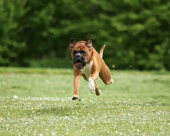 IMAGE: http://i741.photobucket.com/albums/xx55/MattBaker/Oscar/Oscar-2-1.jpg