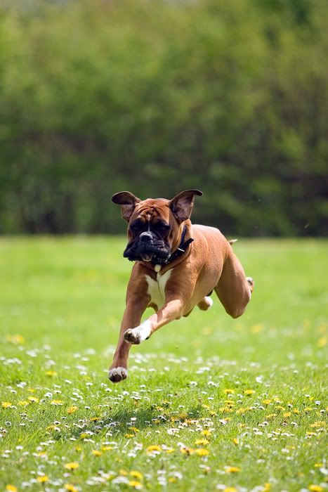 IMAGE: http://i741.photobucket.com/albums/xx55/MattBaker/Oscar/Oscar-3.jpg