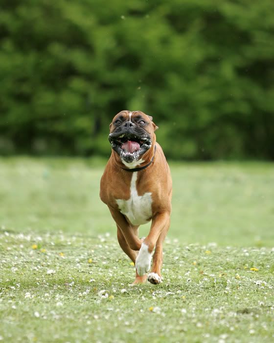 IMAGE: http://i741.photobucket.com/albums/xx55/MattBaker/Oscar/Oscar-4.jpg