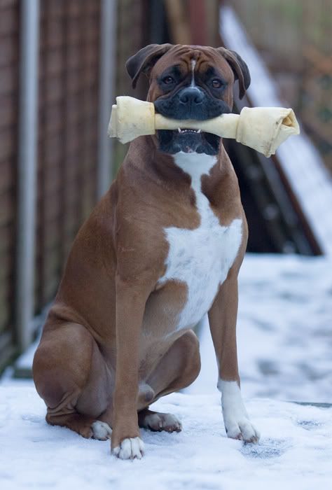 IMAGE: http://i741.photobucket.com/albums/xx55/MattBaker/Oscar/Oscar.jpg