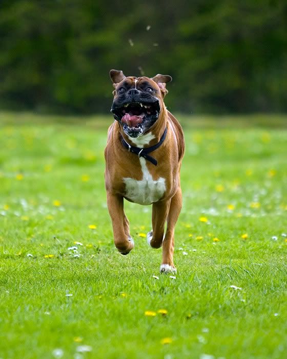 IMAGE: http://i741.photobucket.com/albums/xx55/MattBaker/Oscar/Oscar2.jpg