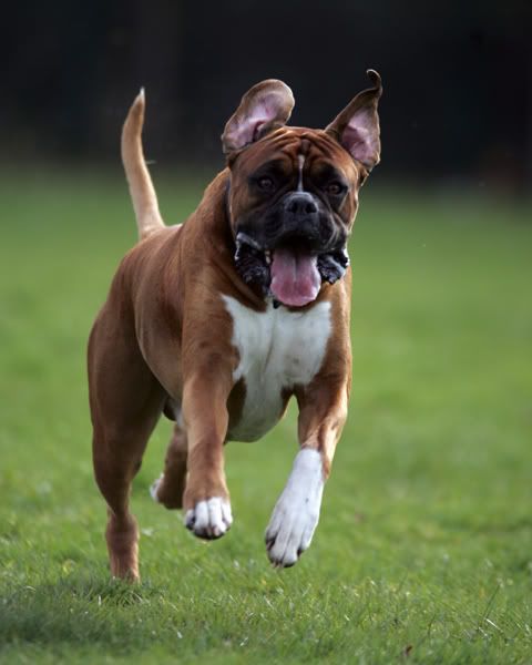 IMAGE: http://i741.photobucket.com/albums/xx55/MattBaker/Oscar/Oscar_0974.jpg