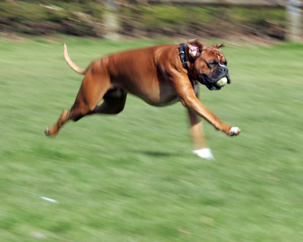 IMAGE: http://i741.photobucket.com/albums/xx55/MattBaker/Oscar/Oscar_1122.jpg