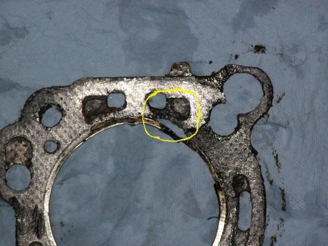 Nissan xterra blown head gasket #2