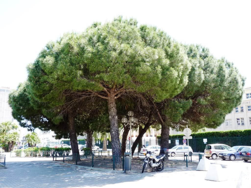 Toulon-city_June42.jpg
