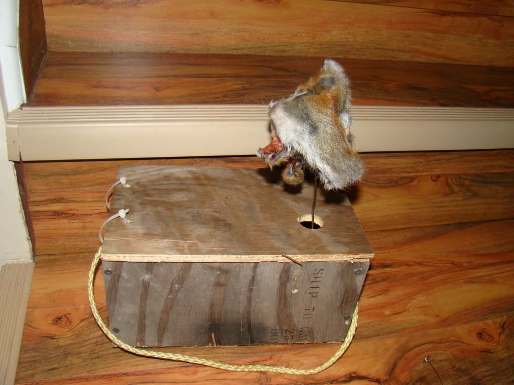 Homemade Coyote Decoy Nova Scotia Hunting Forum