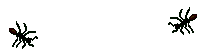 bug2.gif