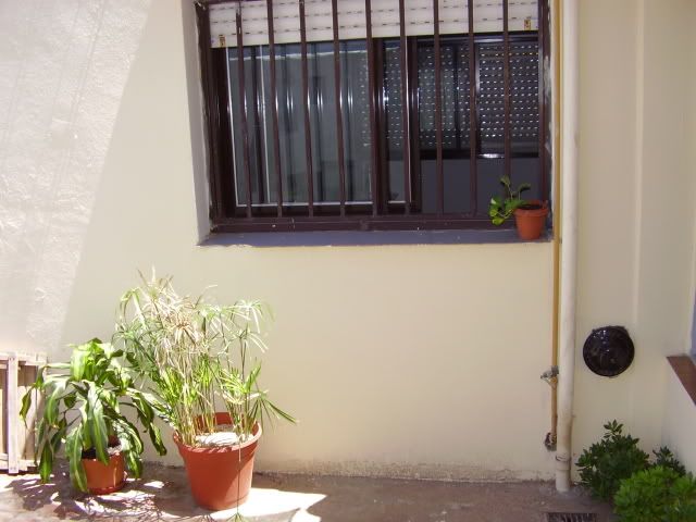 ElEstanque.com - Ver Tema -del living al patio!