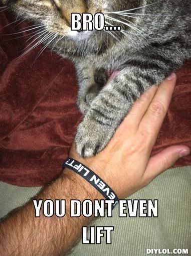 doyouevenlift-meme-generator-bro-you-dont-even-lift-762d68.jpg