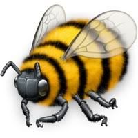 cute little bee Pictures, Images and Photos