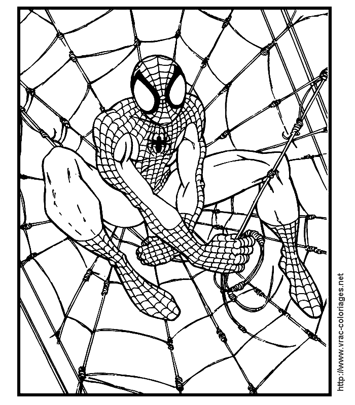 Spiderman Coloring Page 3 Im 1 gif by spadge68 | Photobucket